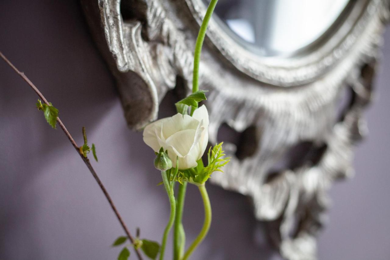 Dorset House Bed & Breakfast Lyme Regis Bagian luar foto